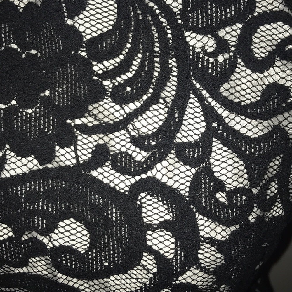 The Limited lace over lay dress Sz 4 - Picture 2 of 5